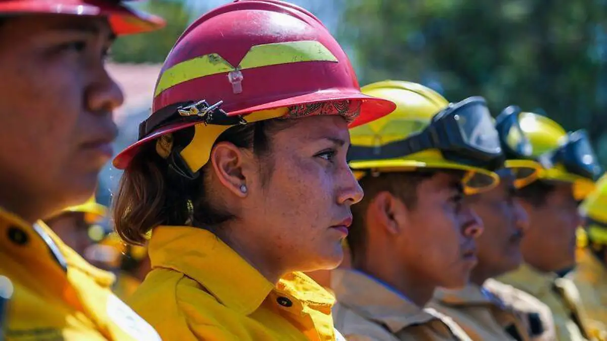 Brigadistas combate incendios